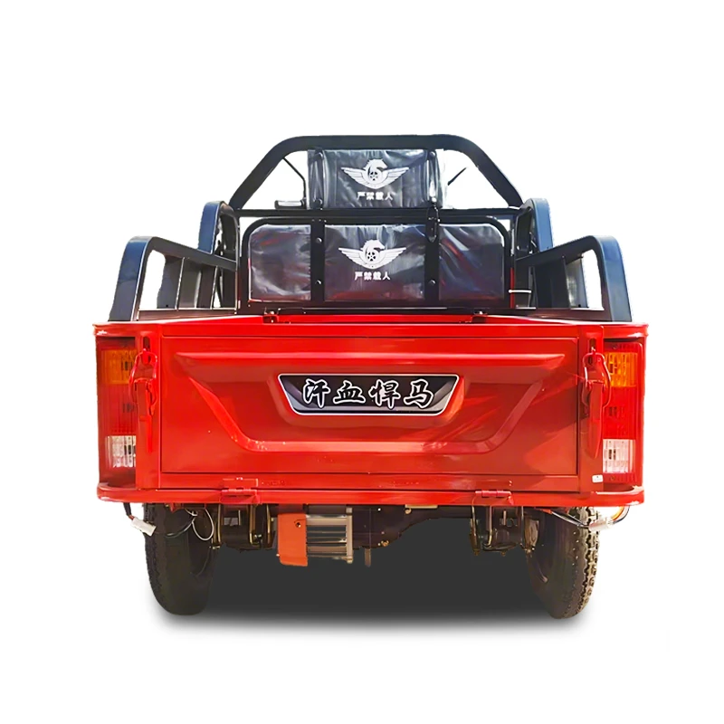 Electric Power Cargo Tricycle factory
