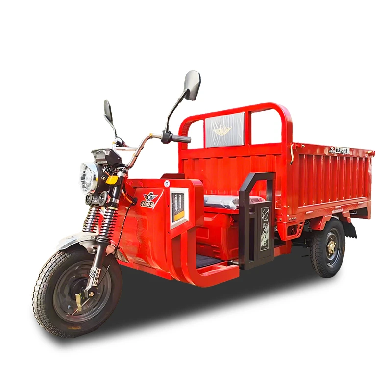 Triciclo Eléctrico Para Carga
