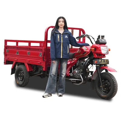 175cc Motorized Cargo Trike